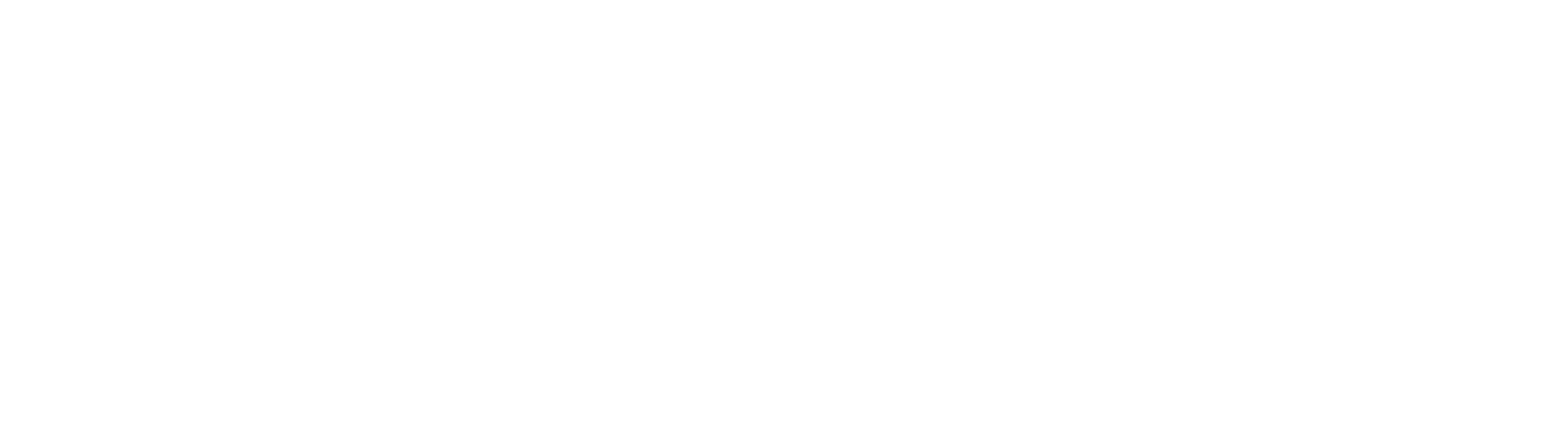 The Enchanted Co